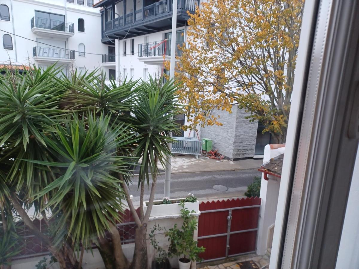 Le Cocon D'Aguilera A 200M Du Stade Et 2Km De La Plage Anglet Exterior foto